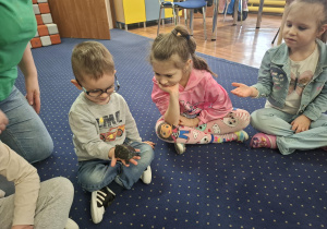 dzieci siedzą w kole na dywanie, podają sobie małego żółwia