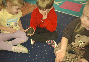 dzieci siedzą w kole na dywanie, podają sobie małego żółwia