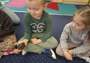 dzieci siedzą w kole na dywanie, podają sobie małego żółwia