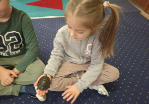 dzieci siedzą w kole na dywanie, podają sobie małego żółwia