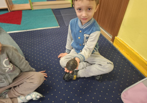 dzieci siedzą w kole na dywanie, podają sobie małego żółwia