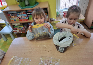 dzieci zakładają hodowle roślin