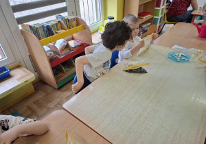 dzieci zakładają hodowle roślin