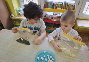 dzieci zakładają hodowle roślin