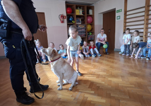 dziewczynka głaszcze psa w obecności strażnika miejskiego, na sali gimnastycznej w tle widać siedzące dzieci