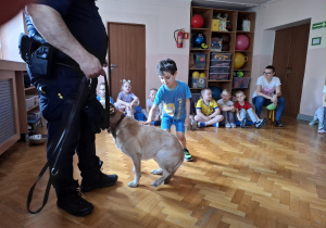 chłopiec głaszcze psa w obecności strażnika miejskiego, na sali gimnastycznej w tle widać siedzące dzieci