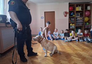 chłopiec głaszcze psa w obecności strażnika miejskiego, na sali gimnastycznej w tle widać siedzące dzieci