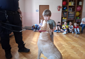 chłopiec głaszcze psa w obecności strażnika miejskiego, na sali gimnastycznej w tle widać siedzące dzieci