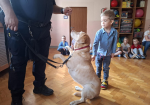chłopiec głaszcze psa w obecności strażnika miejskiego, na sali gimnastycznej w tle widać siedzące dzieci