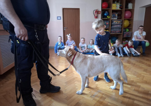 chłopiec głaszcze psa w obecności strażnika miejskiego, na sali gimnastycznej w tle widać siedzące dzieci