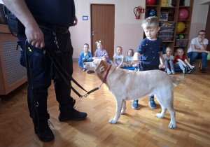 chłopiec głaszcze psa w obecności strażnika miejskiego, na sali gimnastycznej w tle widać siedzące dzieci