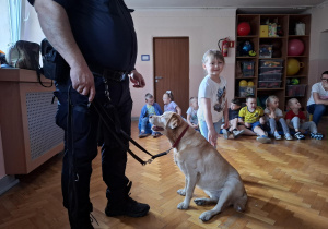 dziewczynka głaszcze psa w obecności strażnika miejskiego, na sali gimnastycznej w tle widać siedzące dzieci