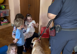 Dziecko głaszcze psa policyjnego.