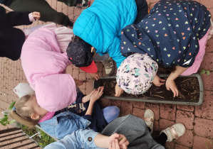 dzieci sadzą rośliny na przedszkolnym tarasie