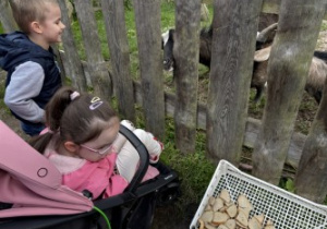 Dzieci podczas wycieczki do pasieki w Lipce.