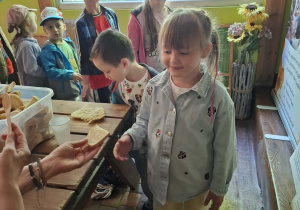 dzieci podczas wycieczki do pasieki w Lipce jedzą chleb z miodem