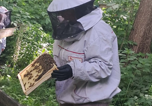 dzieci podczas wycieczki do pasieki w Lipce