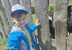 chłopiec podczas wycieczki do pasieki w Lipce