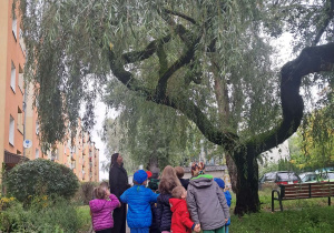 Dzieci idą na jesienny spacer.