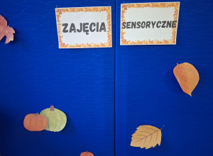 Zajęcia sensoryczne.