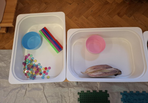materiały przyrodnicze zgromadzone na zajęcia sensoryczne, na sali gimnastycznej