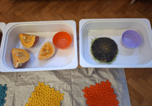 materiały przyrodnicze zgromadzone na zajęcia sensoryczne, na sali gimnastycznej