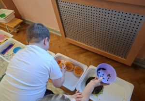 dzieci biorą udział w zajęciach sensorycznych, dotykają, chodzą, obserwują materiały przyrodnicze
