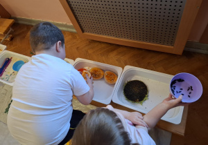 dzieci biorą udział w zajęciach sensorycznych, dotykają, chodzą, obserwują materiały przyrodnicze