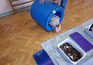 dzieci biorą udział w zajęciach sensorycznych, dotykają, chodzą, obserwują materiały przyrodnicze