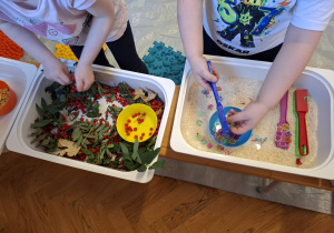 dzieci biorą udział w zajęciach sensorycznych, dotykają, chodzą, obserwują materiały przyrodnicze
