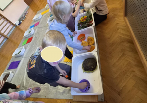dzieci na sali gimnastycznej uczestniczą w zajęciach sensorycznych, używają wszystkich zmysłów
