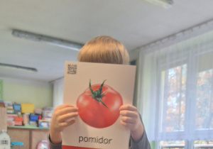 Chłopiec prezentuje plansze z pomidorem.
