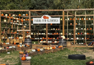 Farma dyń Klemensa.
