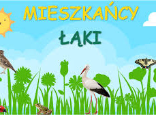 Mieszkańcy łąki