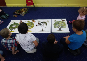 Dzieci poznają drzewa.