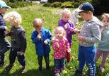 Dzieci w ogrodzie przedszkolnym oglądające rośliny łąkowe.