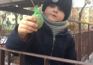 Chłopiec trzyma kulę tłuszczową dla ptaków.