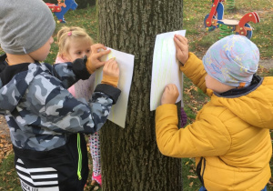 Dzieci otaczają drzewo i kalkują wzór kory.