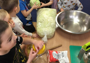 Dzieci zgromadzone wokół stołu na którym leżą produkty i materiały niezbędne do kiszenia kapusty.