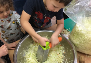 Chłopiec trze marchewkę trzymając tarkę w misce z poszatkowaną kapustą.