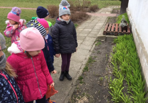 Dzieci oglądają pierwsze kwiaty.