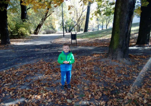 Chłopiec spaceruje po parku.