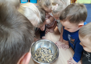 Dzieci zgromadzone wokół stołu zaglądają do miski w której znajdują się różne nasiona.