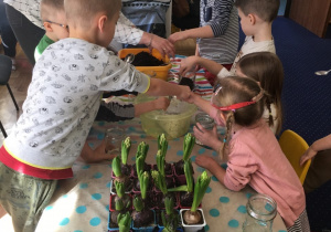 Dzieci przy stole sadzą kwiaty.