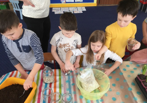 Dzieci przygotowują słoiki do sadzenia roślin.