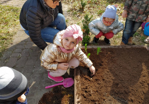 Dziewczynka sadzi roślinkę na rabatce.
