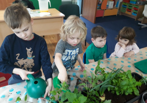 Dzieci zgromadzone wokół stołu podlewają posadzone zioła.