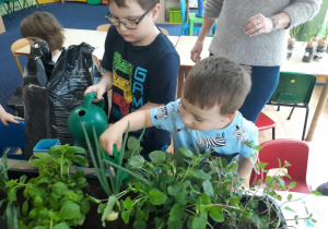 Dzieci zgromadzone wokół stołu podlewają posadzone zioła.