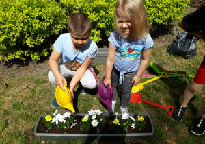 Dzieci podlewają kwiaty w skrzynce.