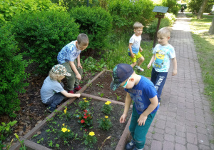 dzieci sadzą kwiaty w ogródku przedszkolnym